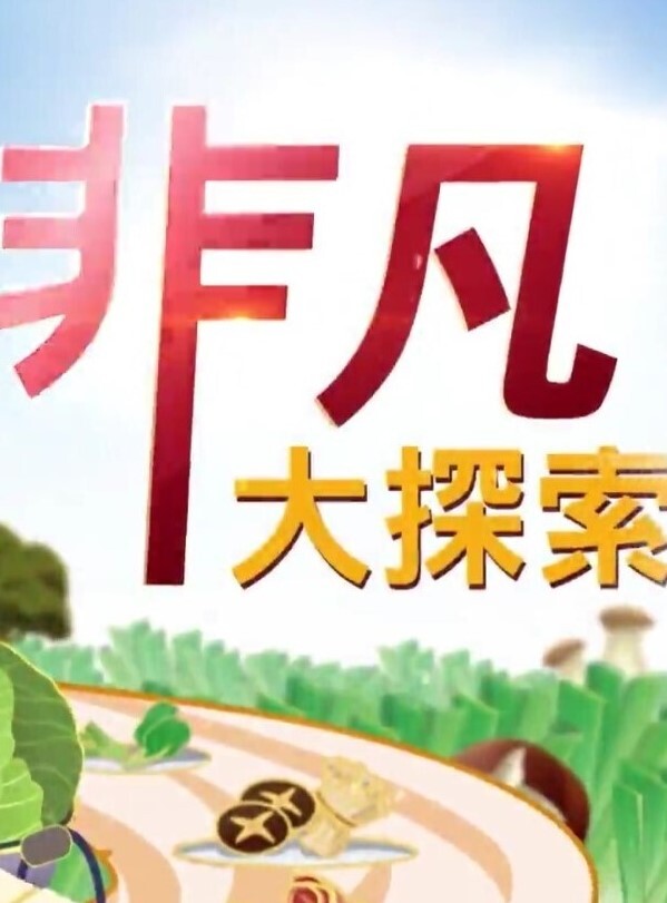 网爆门事件黑龙江家装设计师吴金娜超级喜欢被肉棒操到高潮来寻找灵感淫荡的样子像极了母狗 - 男人射吧